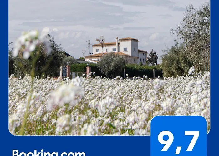 Molike Country House Giulianova photo